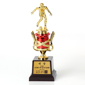 �౸ Ʈ����-�һ�ǰ�̹���