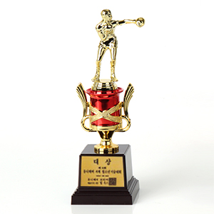 ���� Ʈ����-�һ�ǰ�̹���