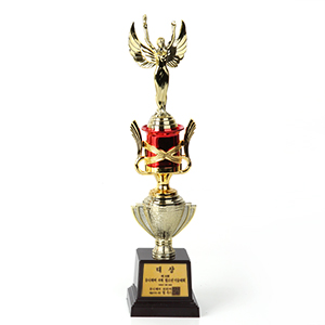 ���� Ʈ����-���ǰ�̹���