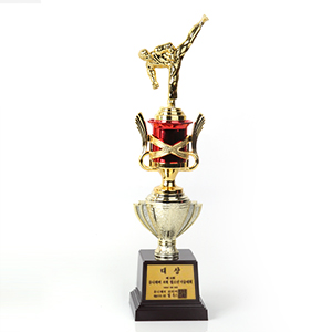 �±ǵ� Ʈ����-���ǰ�̹���