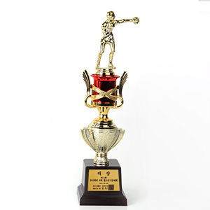 ���� Ʈ����-���ǰ�̹���