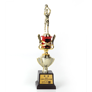 �� Ʈ����-���ǰ�̹���