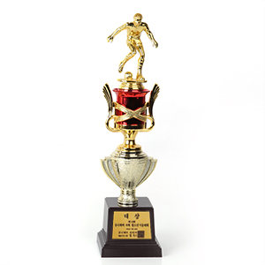 �౸ Ʈ����-���ǰ�̹���